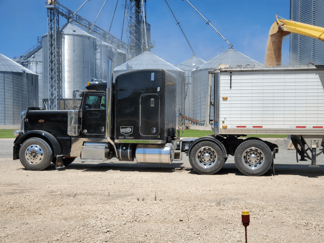 Grain Truck Loading